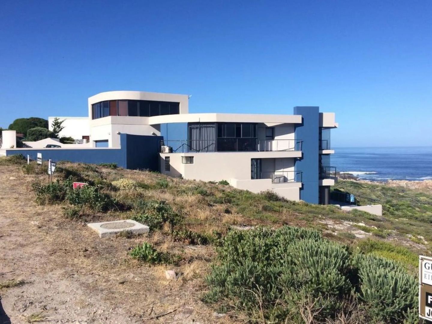 Royal Whale Watching