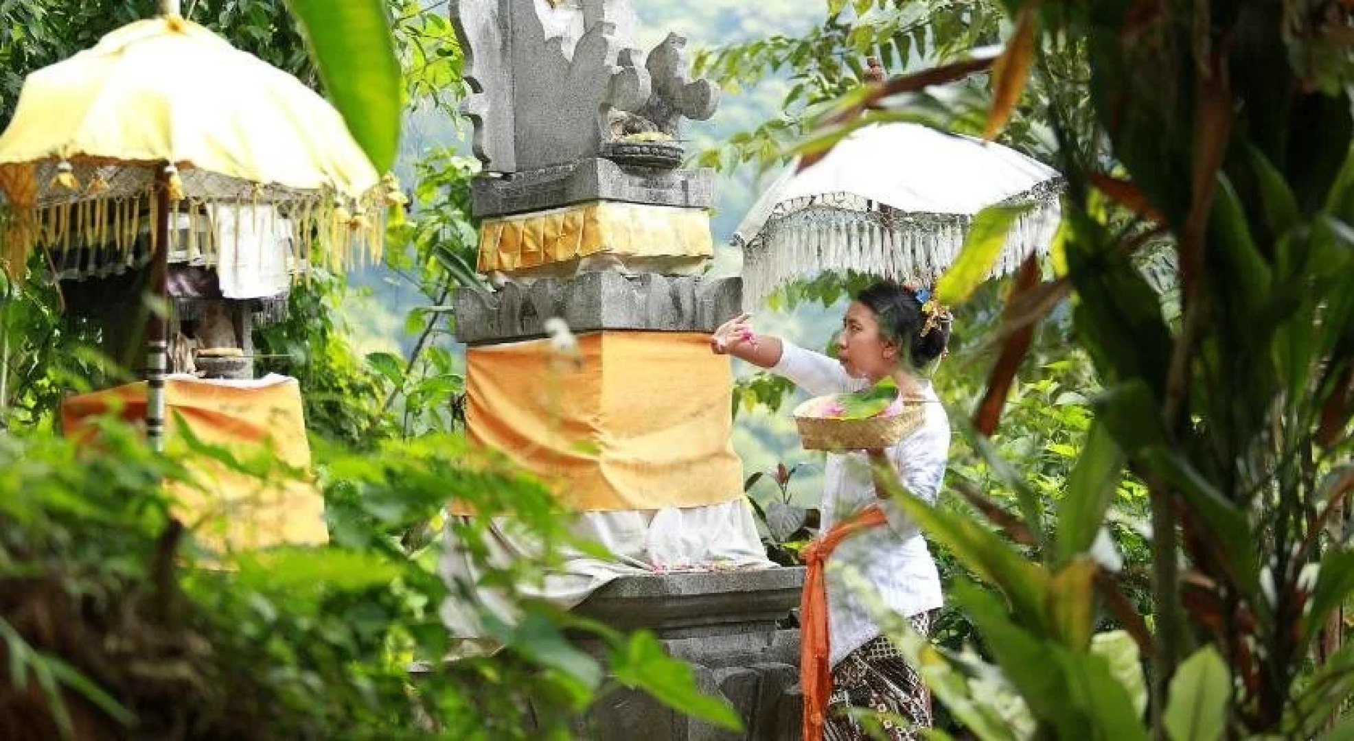 Sang Giri - Mountain Glamping Camp