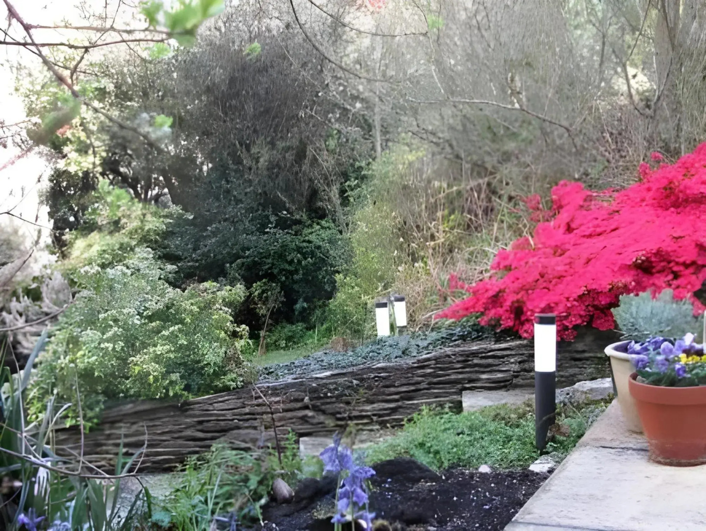 Cliftons Guest House