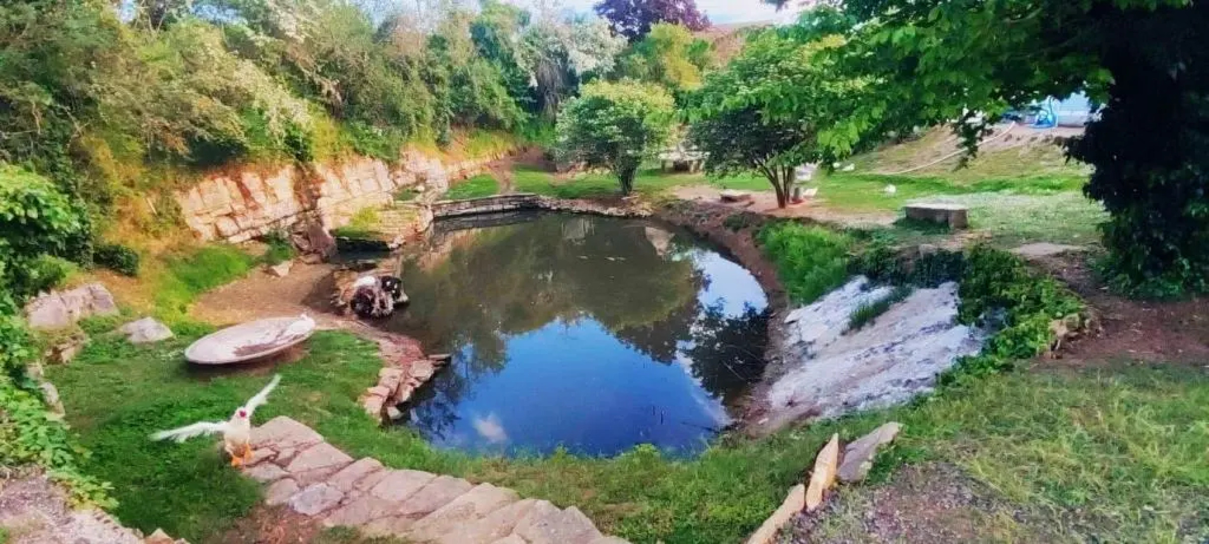 Studio Au Bord de L'etang