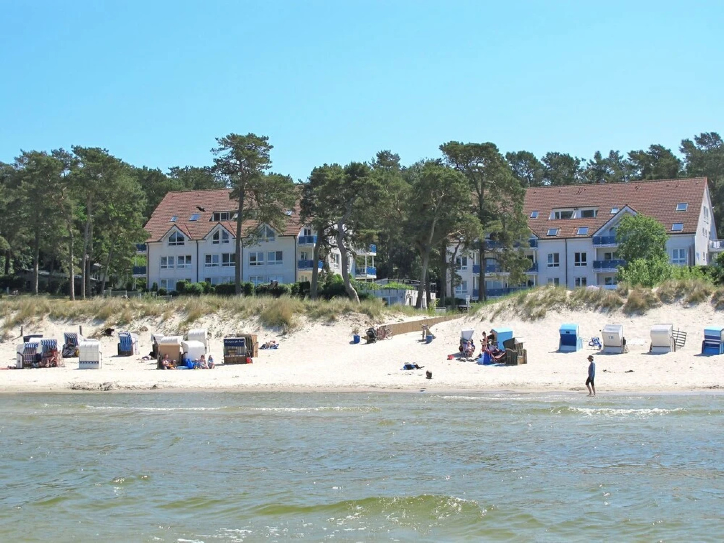 Blaumuschel Lubmin in Lubmin