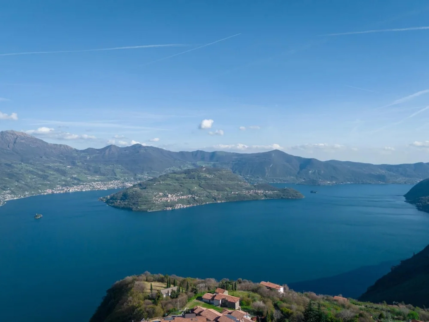 Artemisia in Parzanica