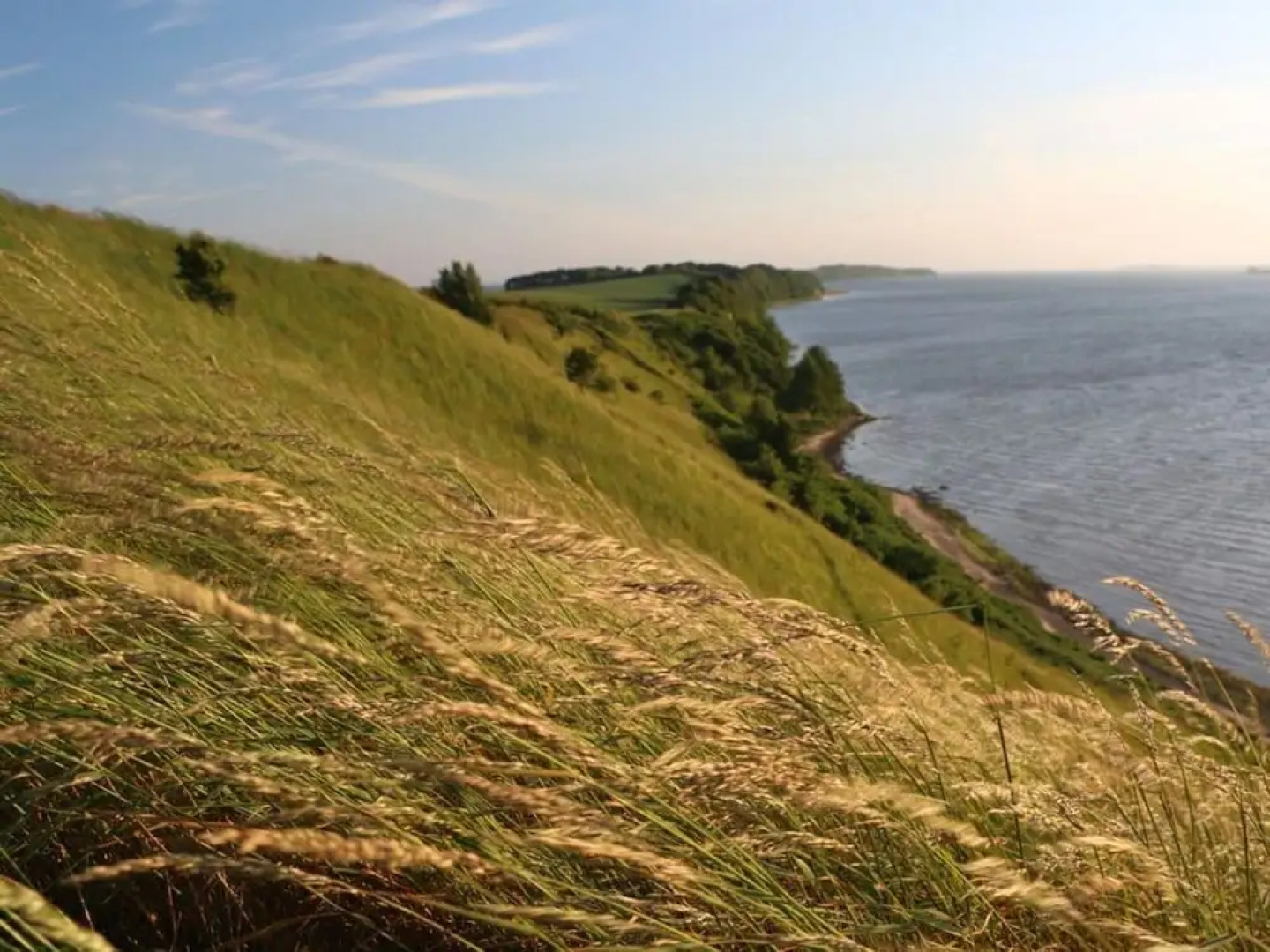 Feuerstein House Monchgut