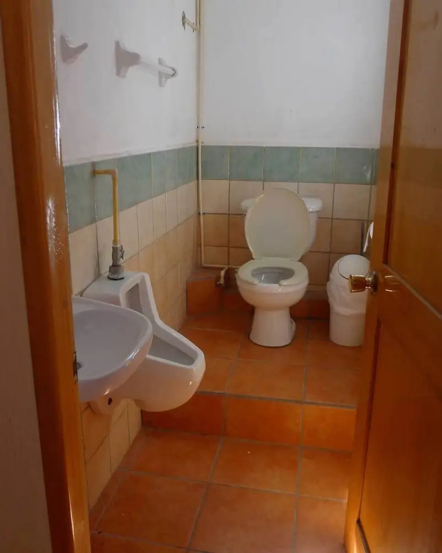 The Octopus's Garden