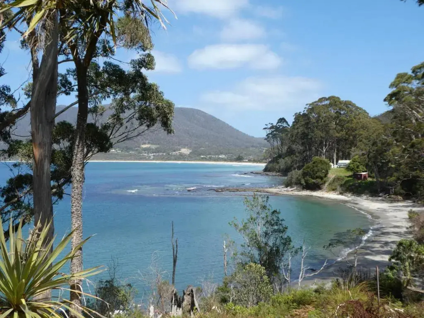 Osprey Lodge & Bungalow