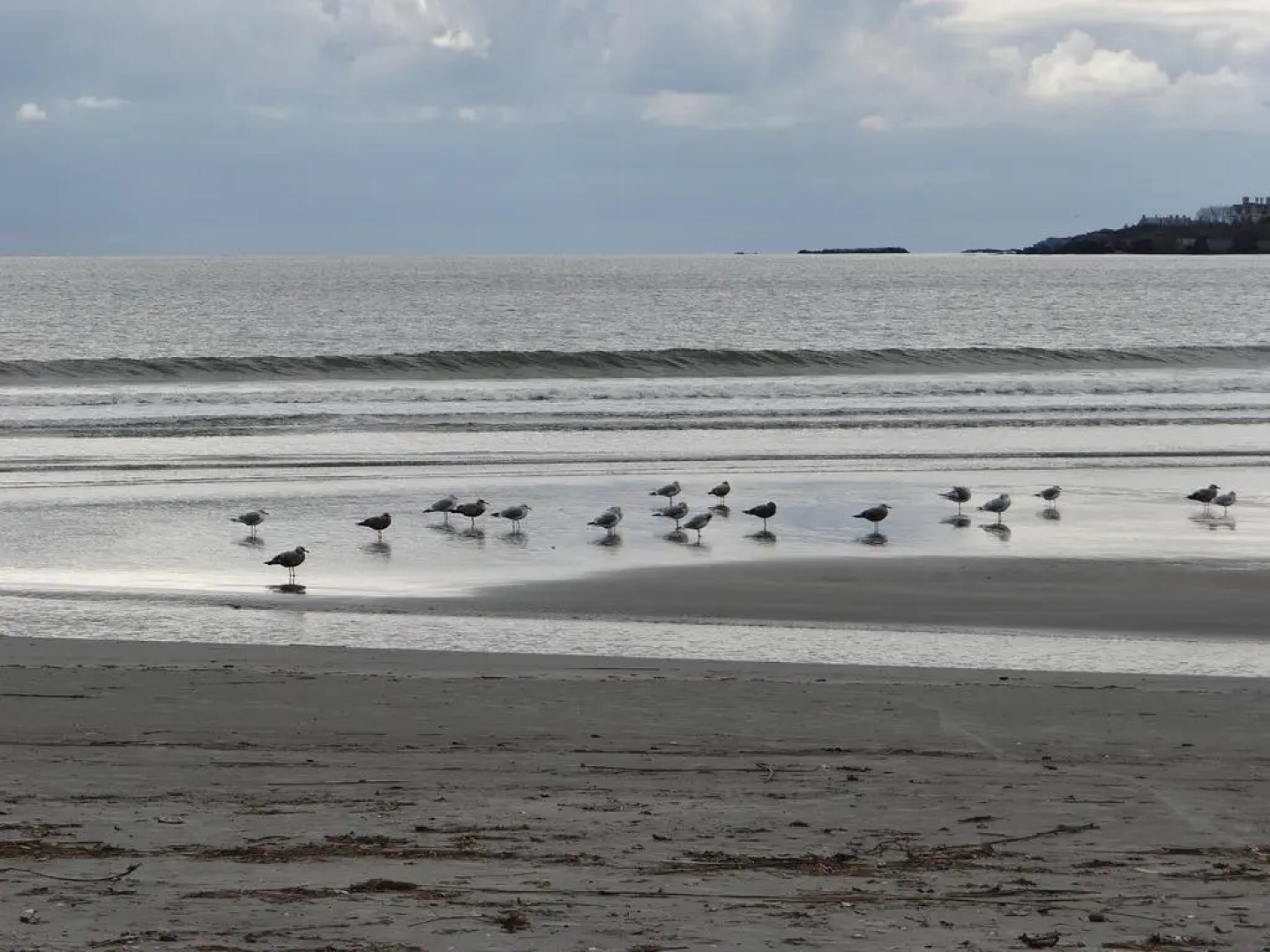 Rhea's Inn By The Sea