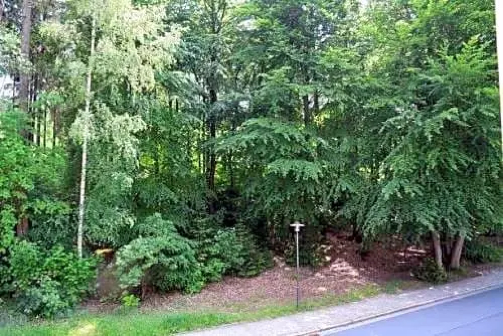 Hotel Berggasthof Waldlust