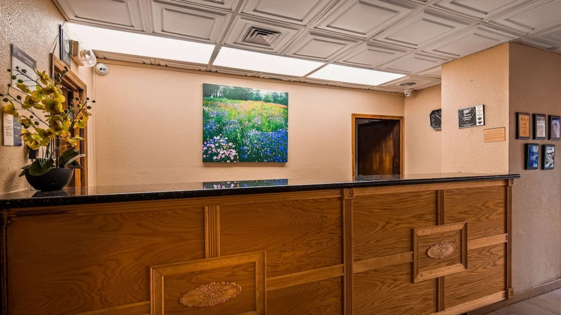 Surestay Plus Hotel By Best Western Wytheville