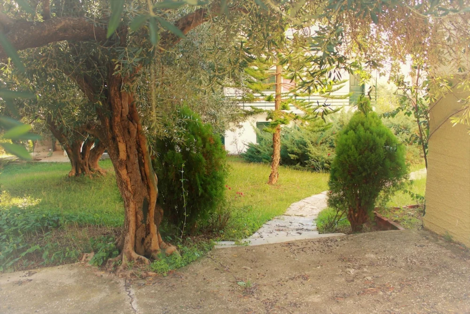 Vrachos Holidays Hotel