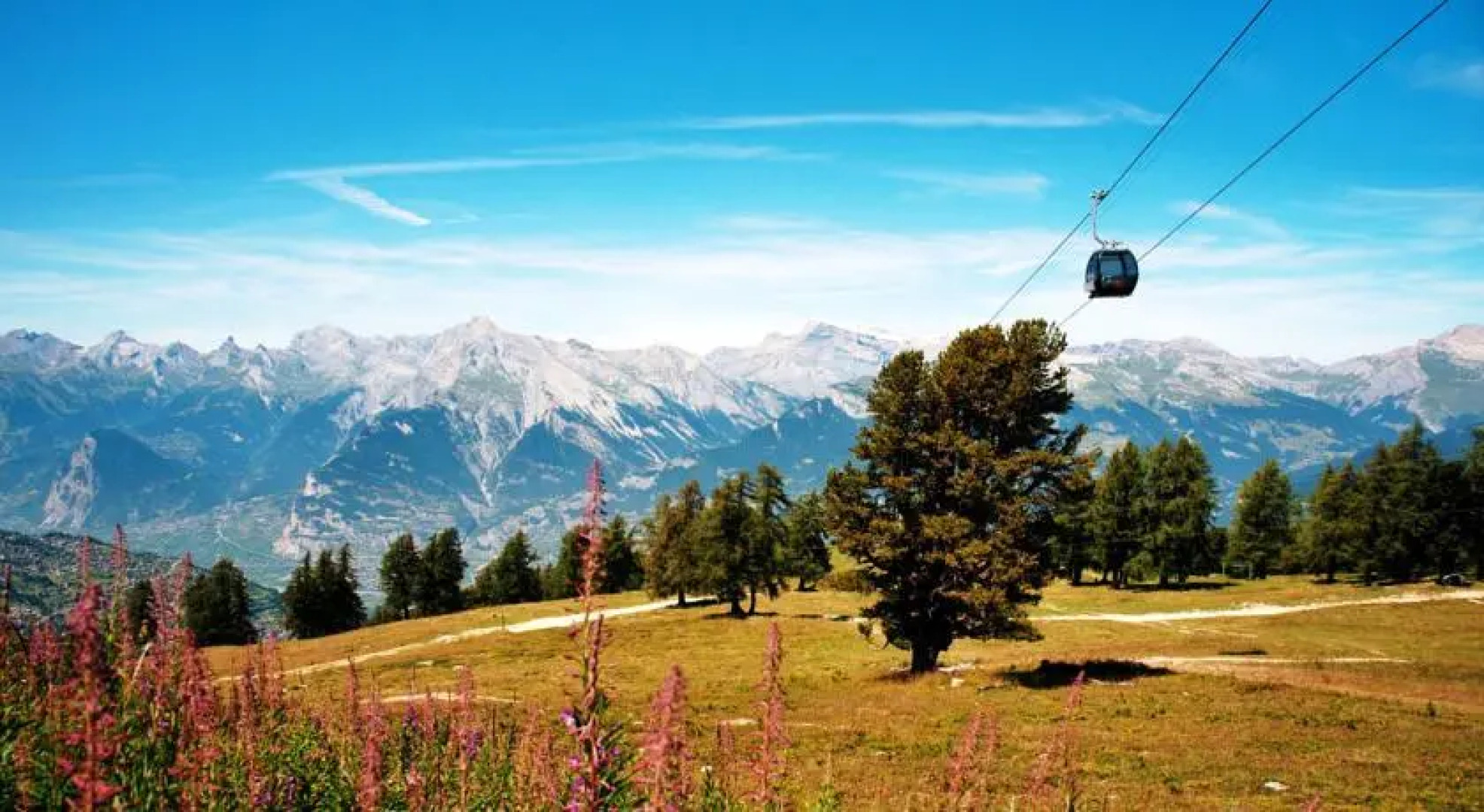 Appartements Royal 141