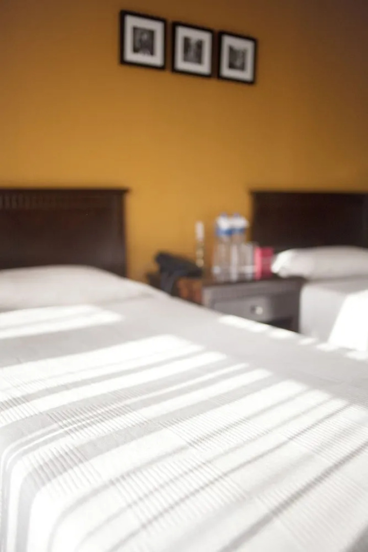 The Yellow House BED&BREAKFAST By South City Housing Pvt Ltd