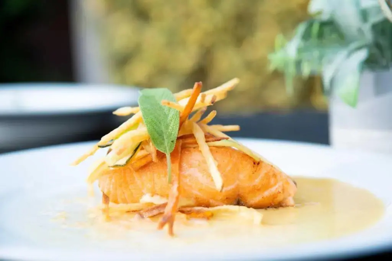 Hacienda Histórica Marchigüe