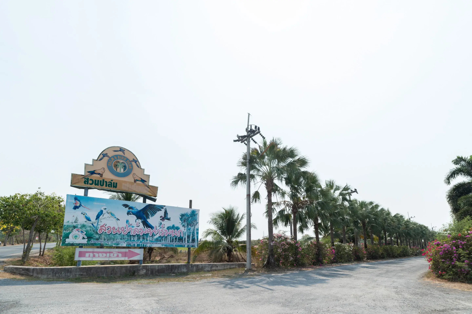 Capital O 805 Suan Palm Farm Nok Resort