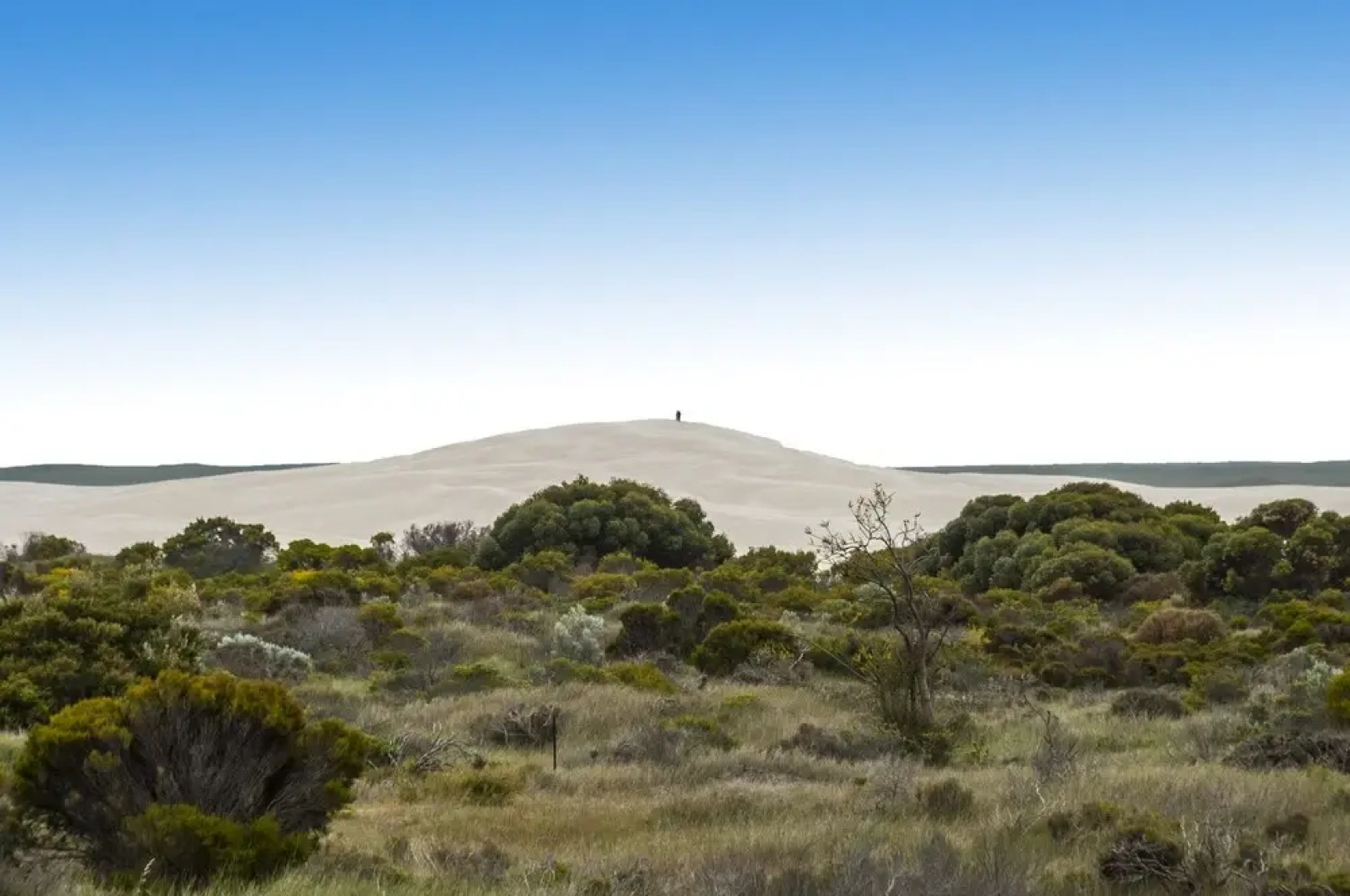 Sand Dunes Experience - Pet Friendly