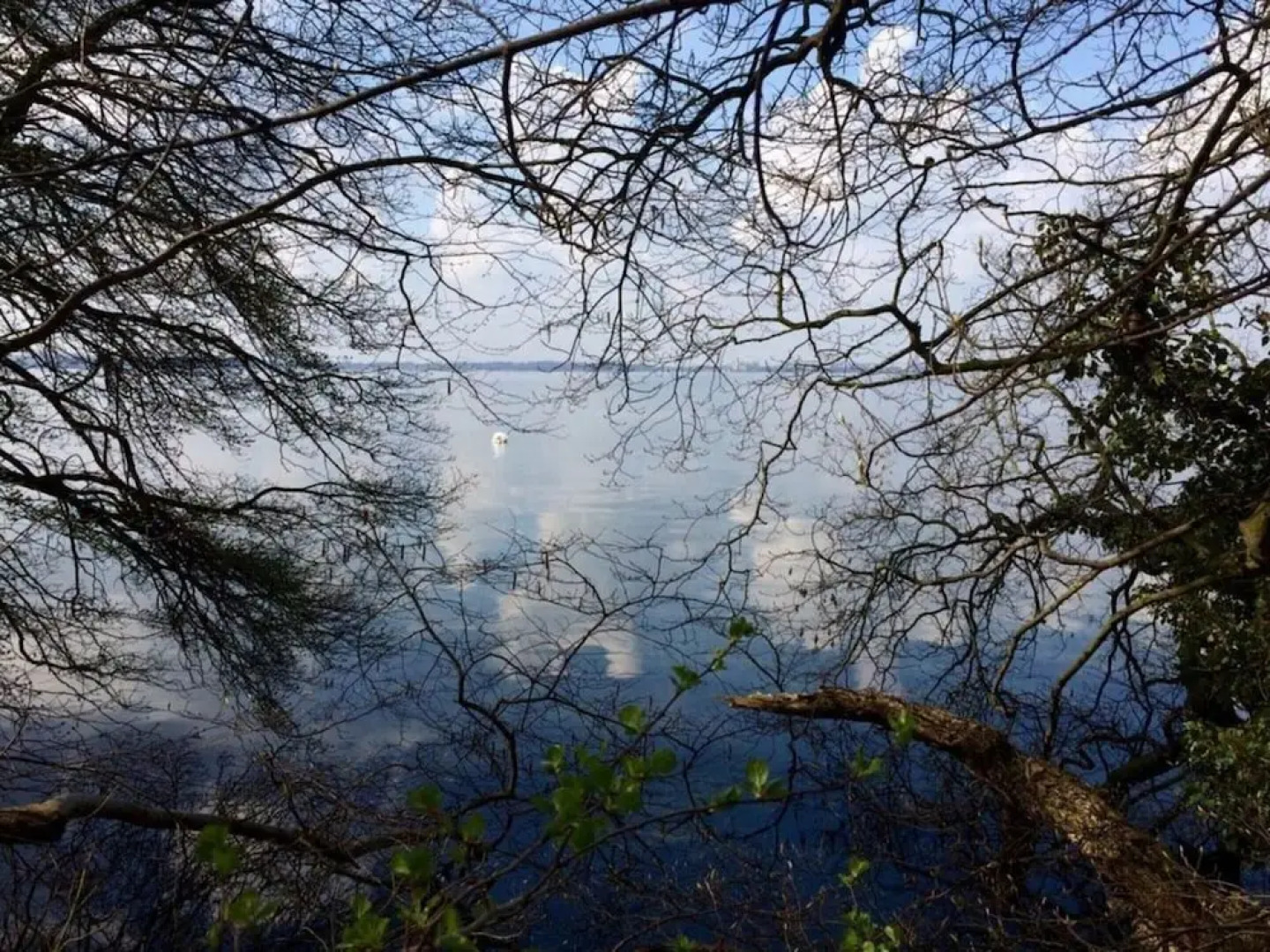 Cathedral Whispers Modern Retreat