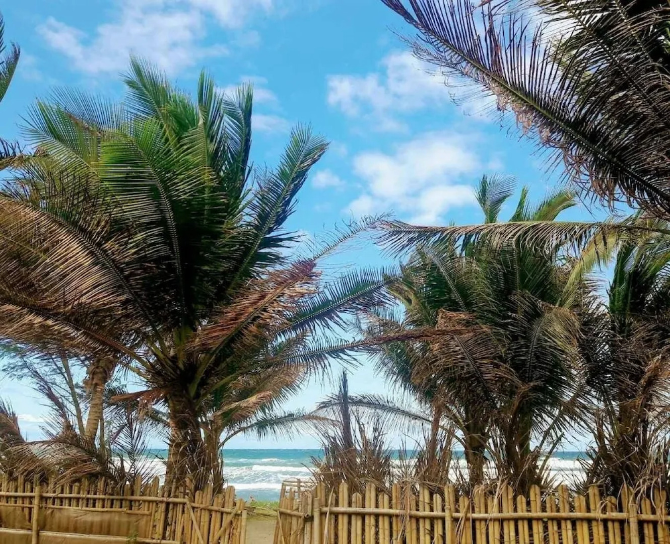 House of the Rising Sun