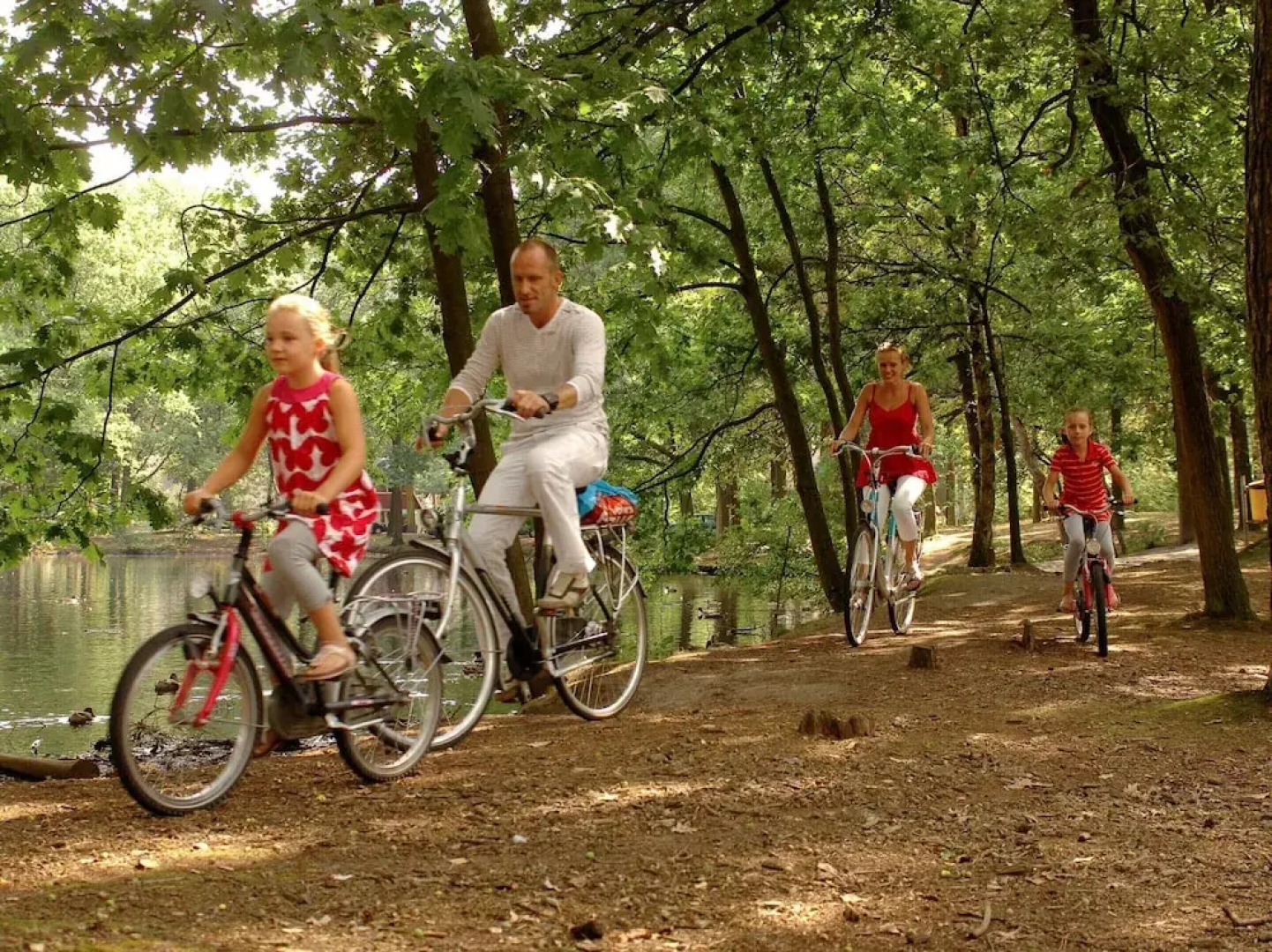 Tiny House in Eindhoven Near Forest Park