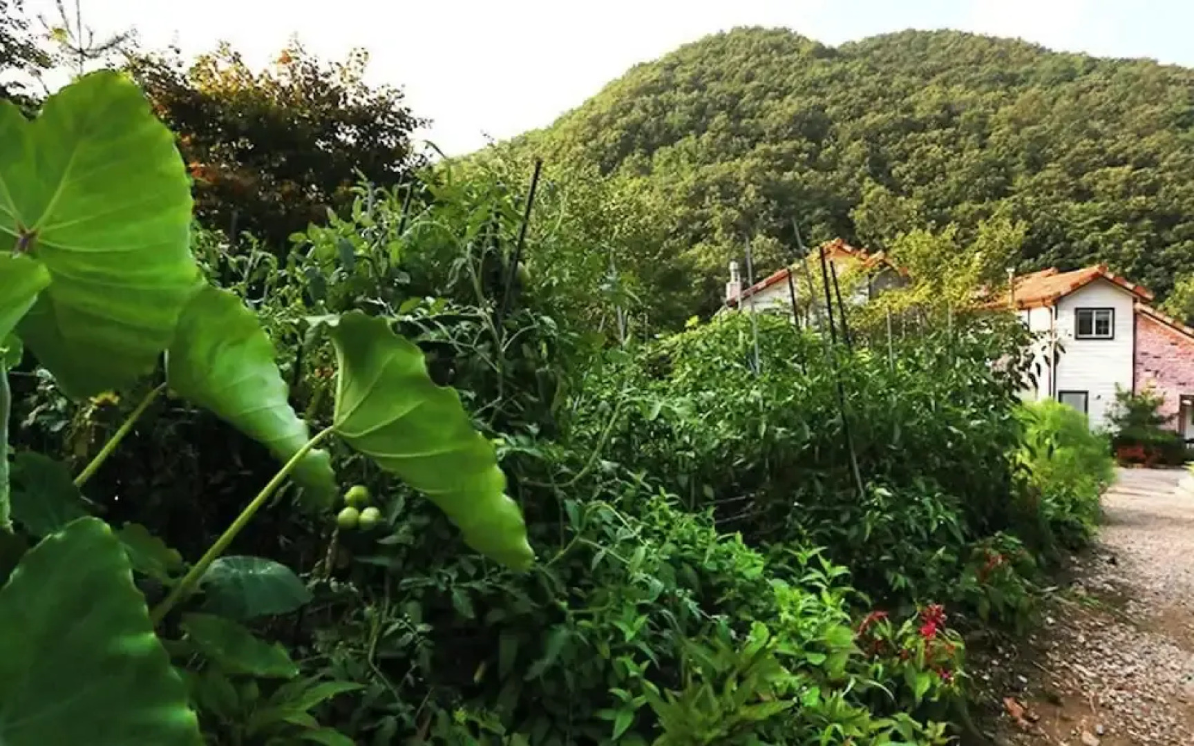 Yangpyeong Angel Singmurwon Pension