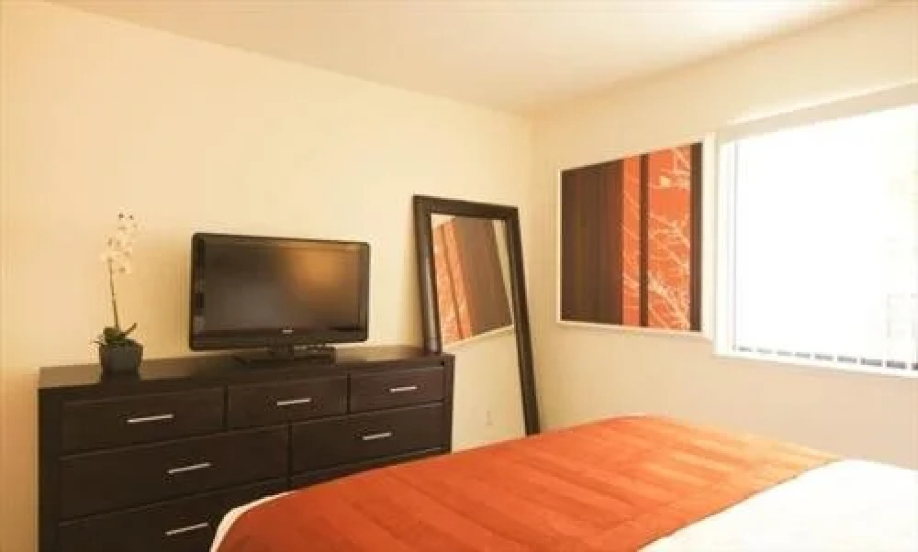 Avalon Mountain View