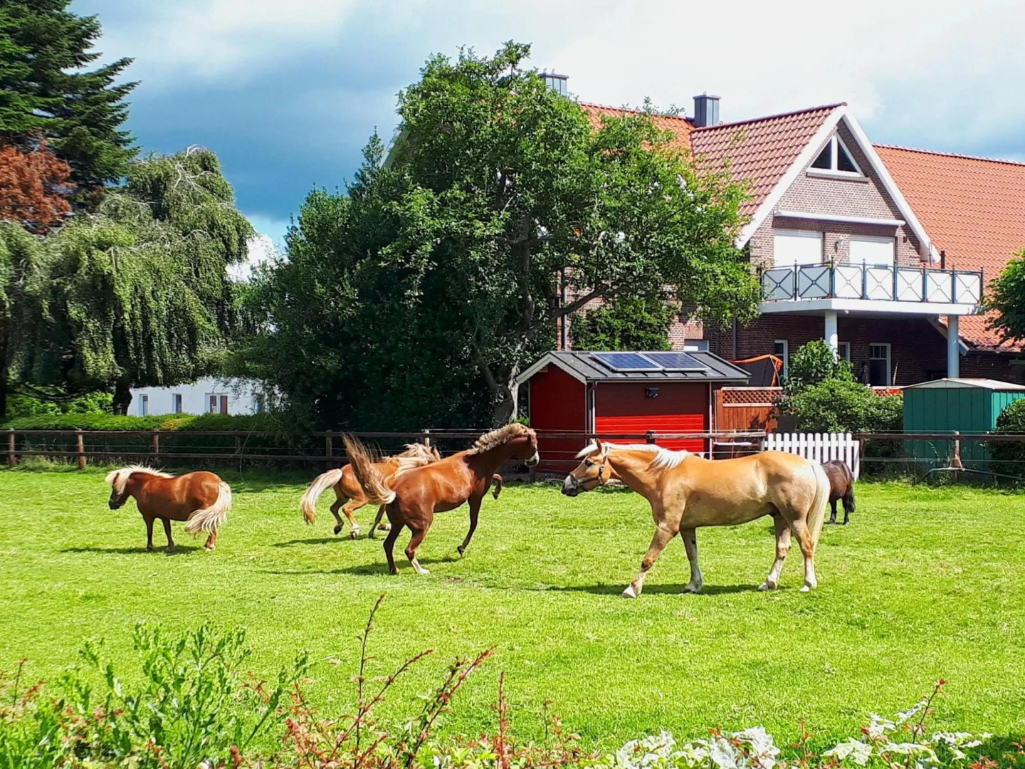 Terraced house in Strackholt in a beautiful area