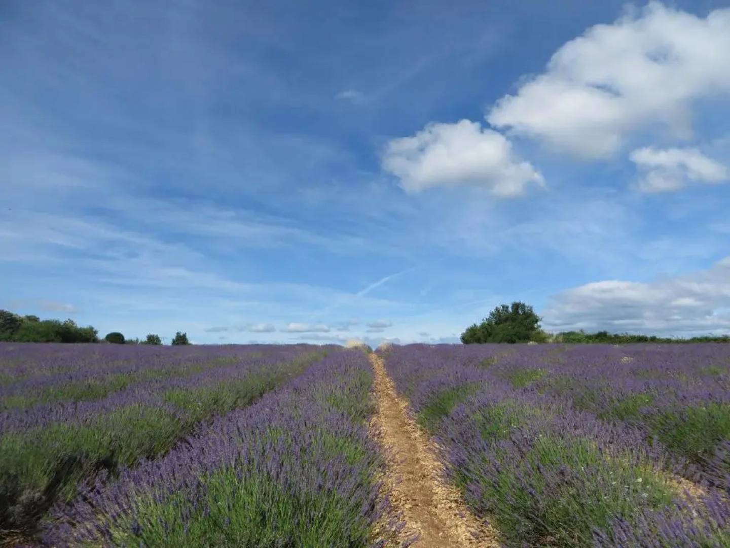 Camping la Rouviere les Pins