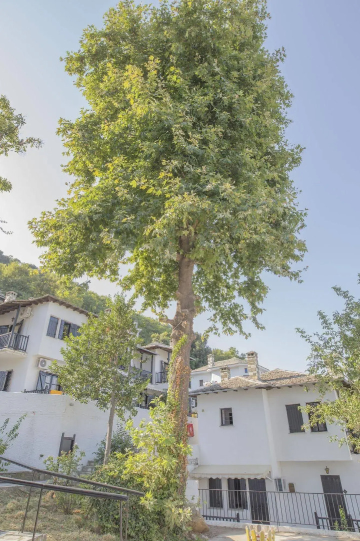 Pilio Sea Horizon hotel