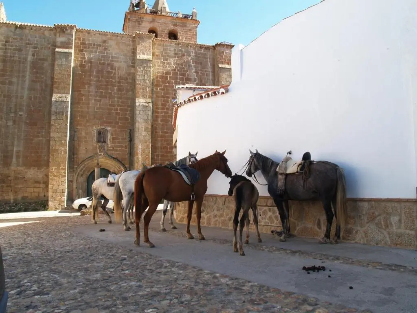 Casa Rural Las Nieves