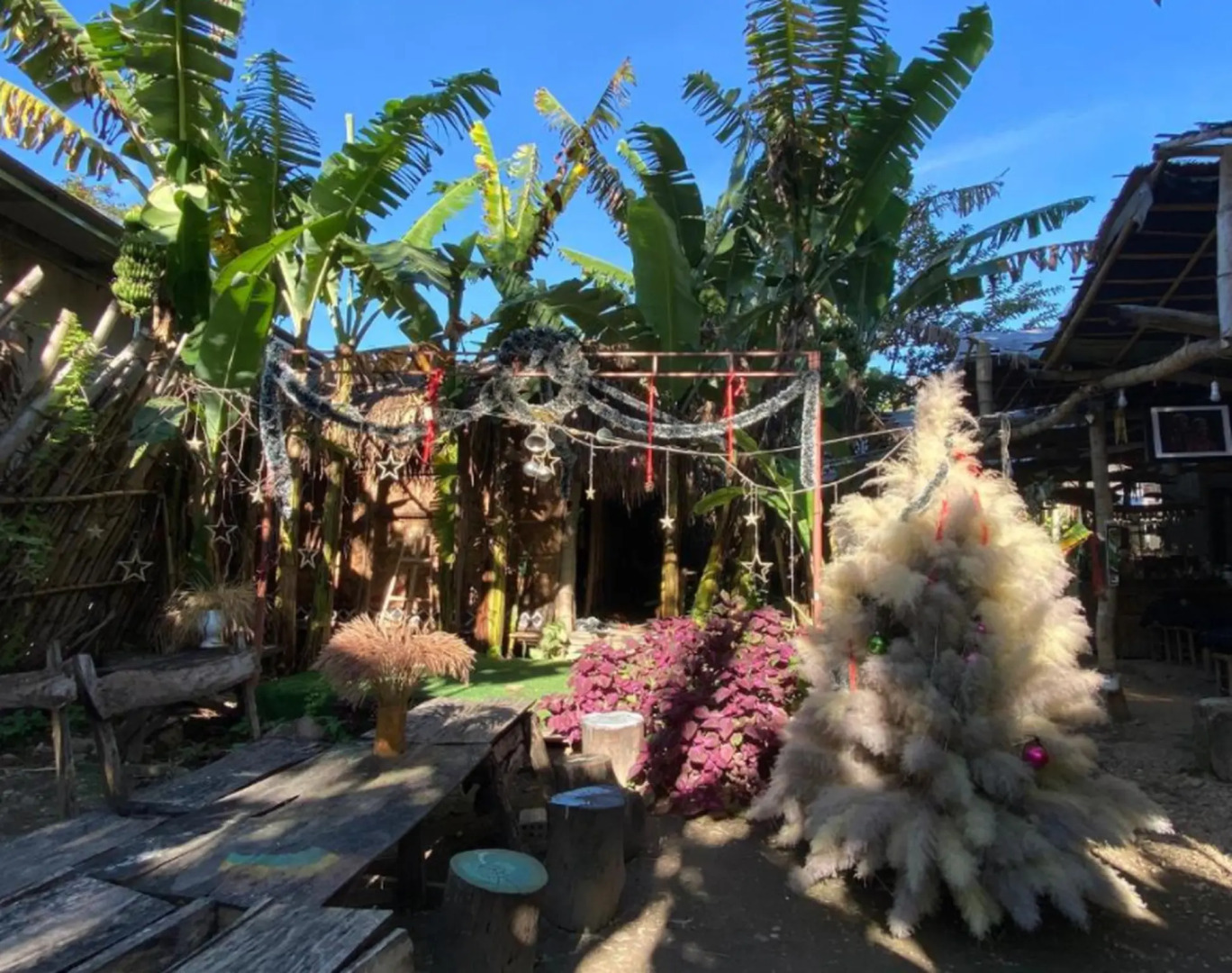 Lang Ho Homestay - Coffee