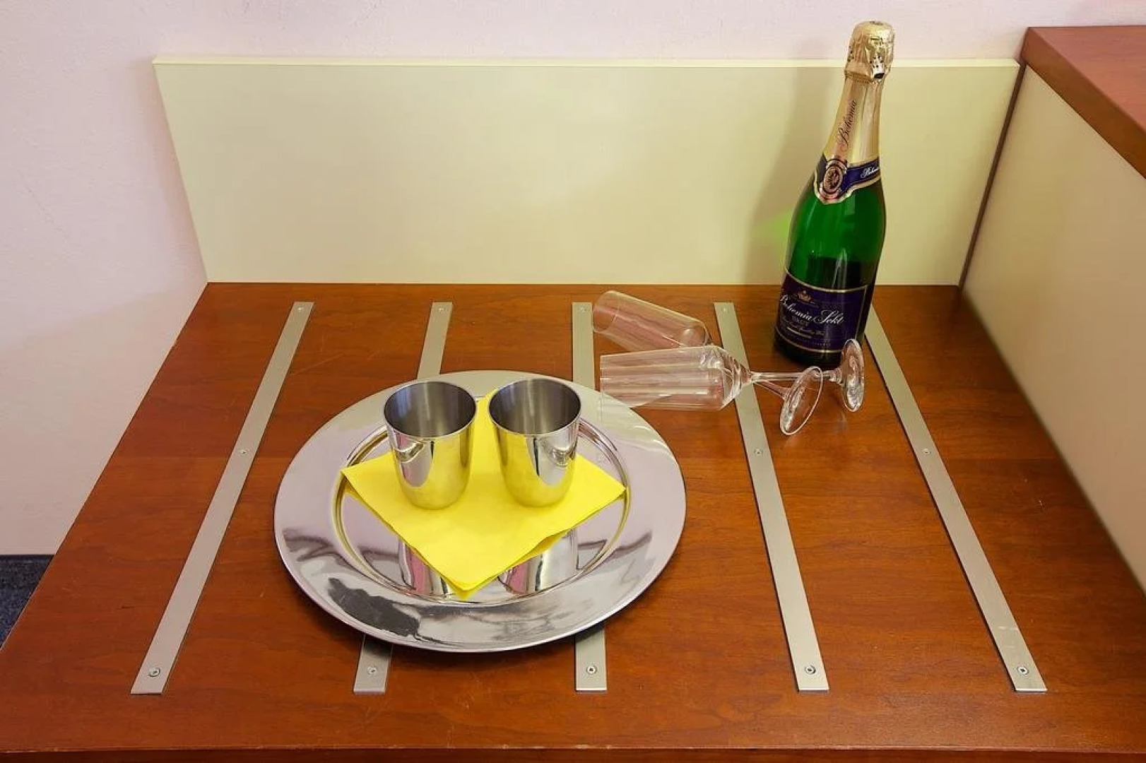 Hotel Junior Podebrady