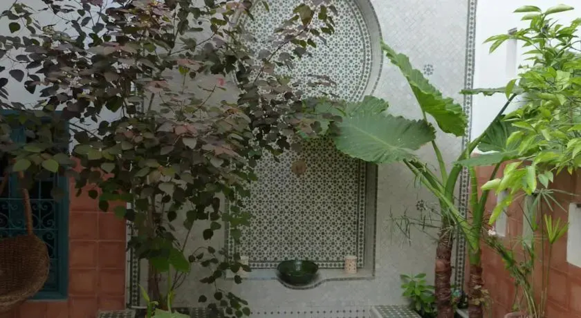 Dar Nadia