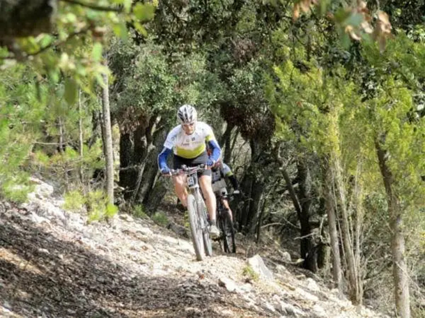 Casa-Refugi El Boixar