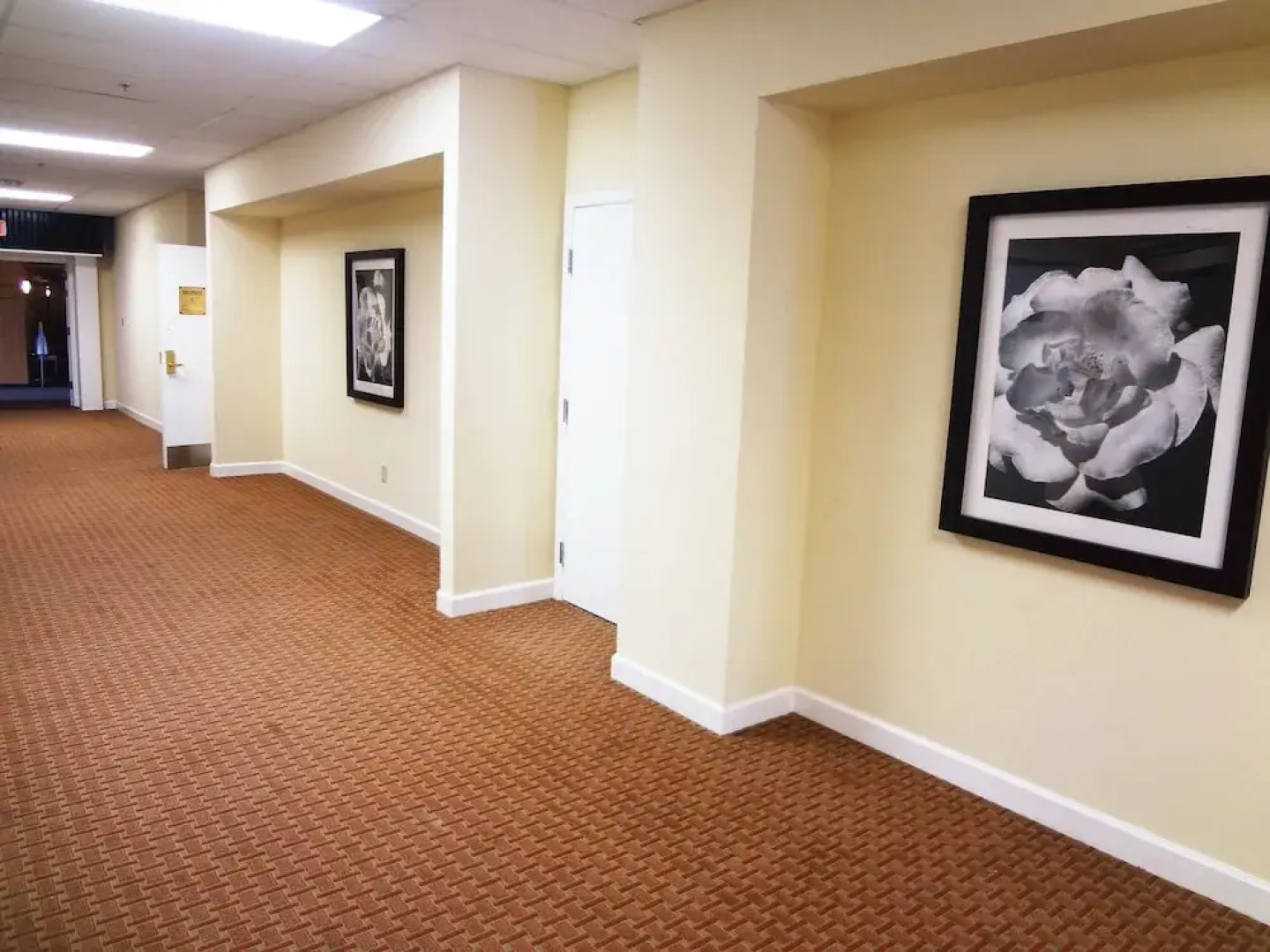 Red Roof Inn Chicago - N Aurora/ Naperville