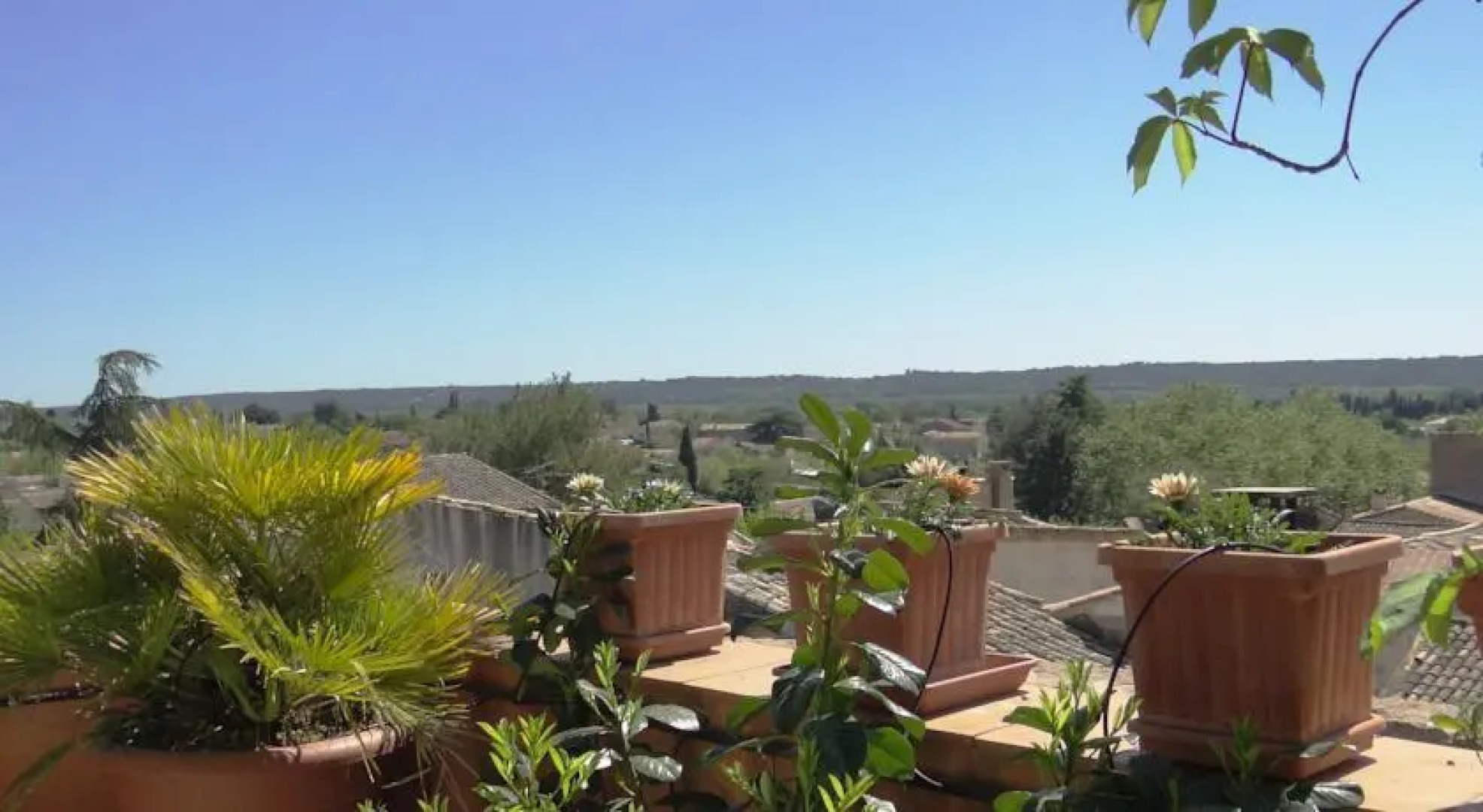 La Maison Du Suisse dAlger