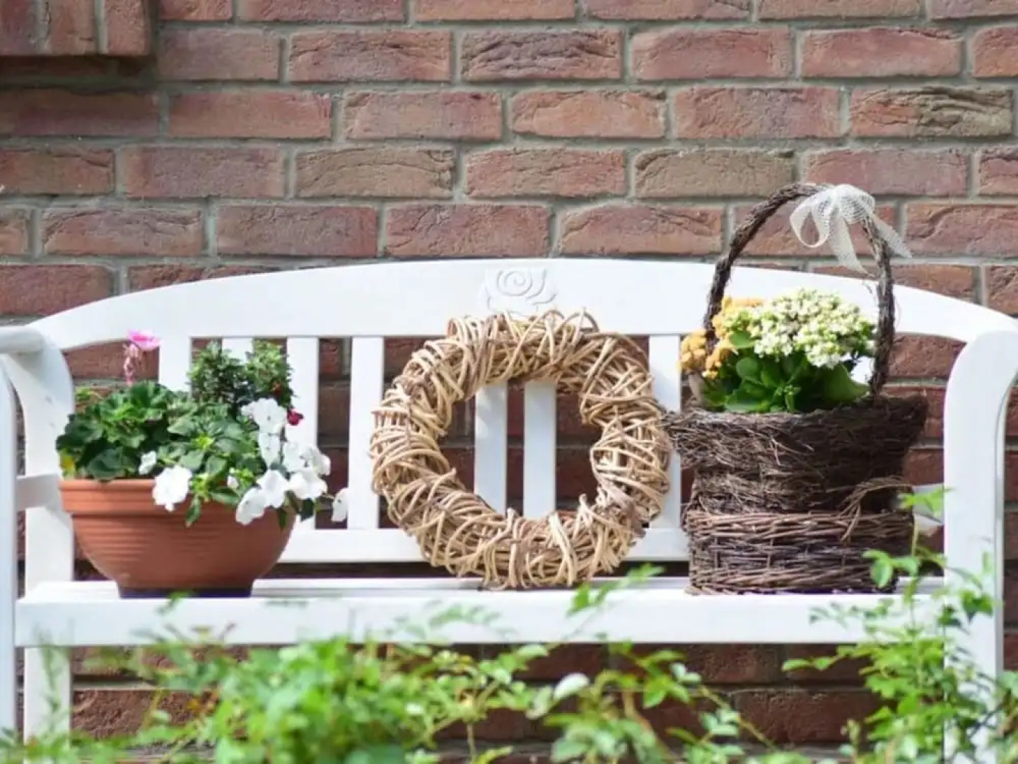 Schroder at the Aerie