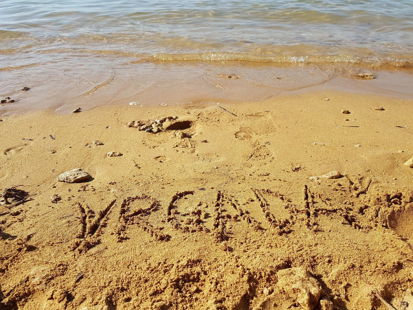 Apartment Ivo - relaxing & comfortable: A1 Vrgada (Island Vrgada), Riviera Biograd