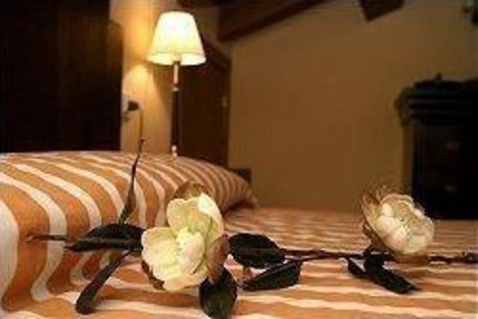 Casa Grande de Cornide