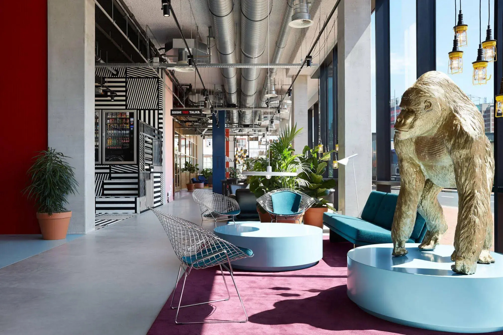 The Social Hub Groningen