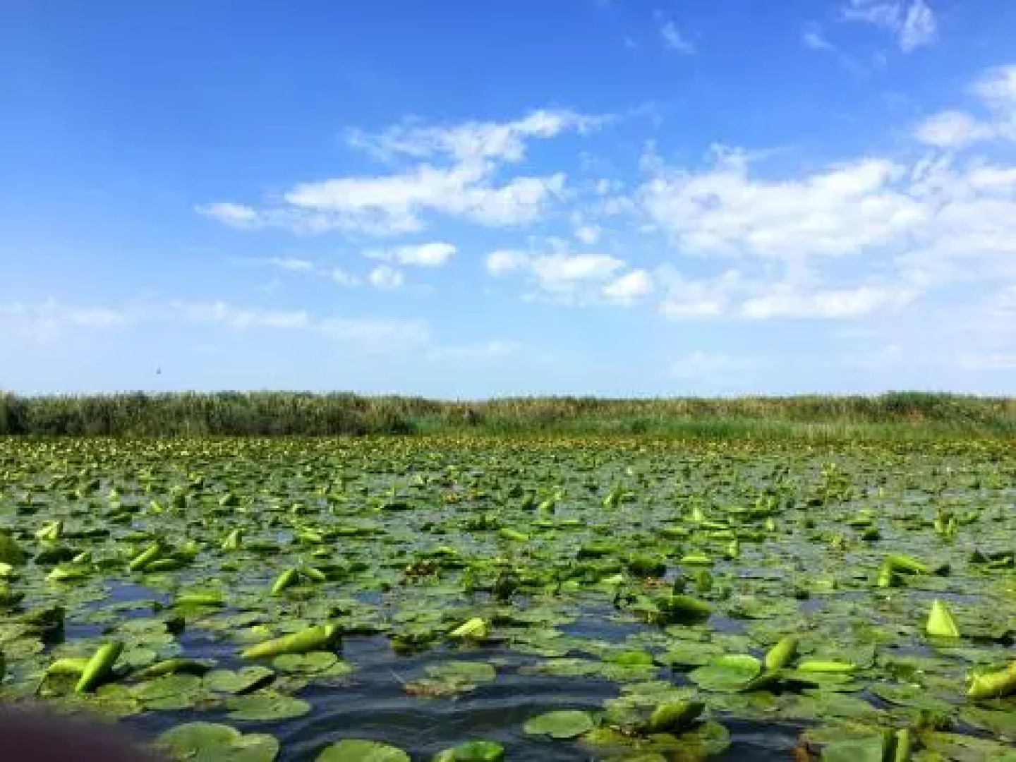 Pensiunea Blue House