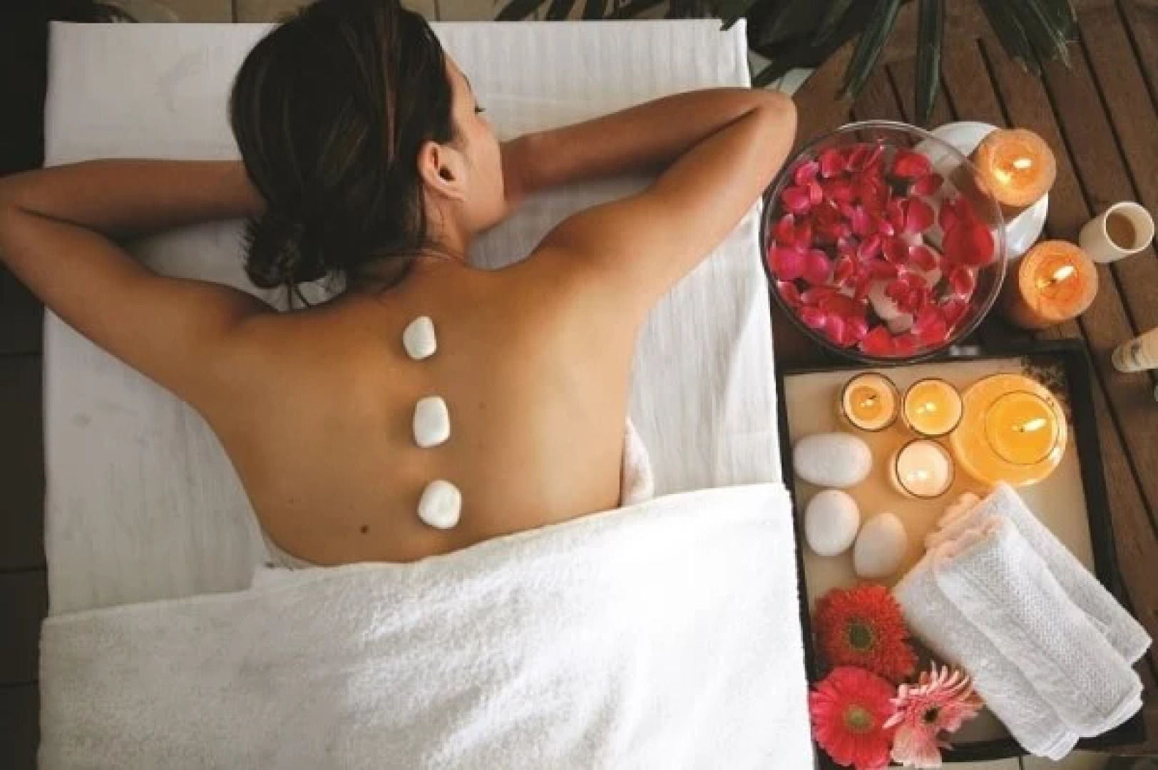 TreeHouse Hotel Club & Spa