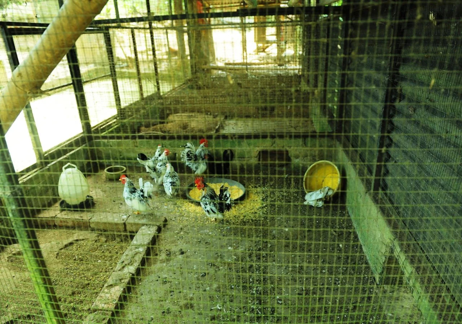 Countryview Recreation Park & Resort