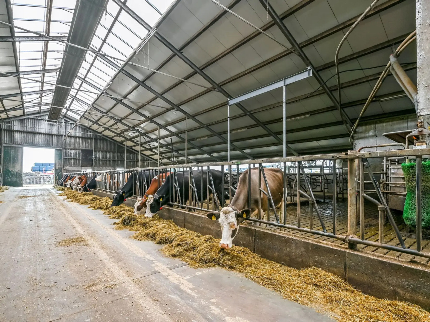 Spacious Farmhouse in Tweede Exloermond With Patio