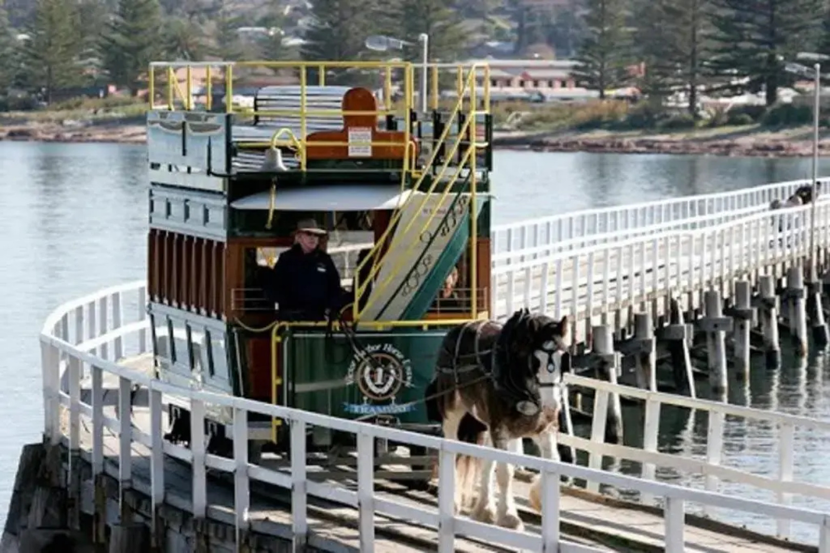 Victor Central Cottage Perfect Location