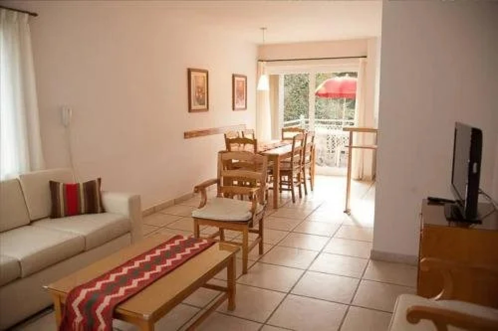 Arbol del Cielo Carilo