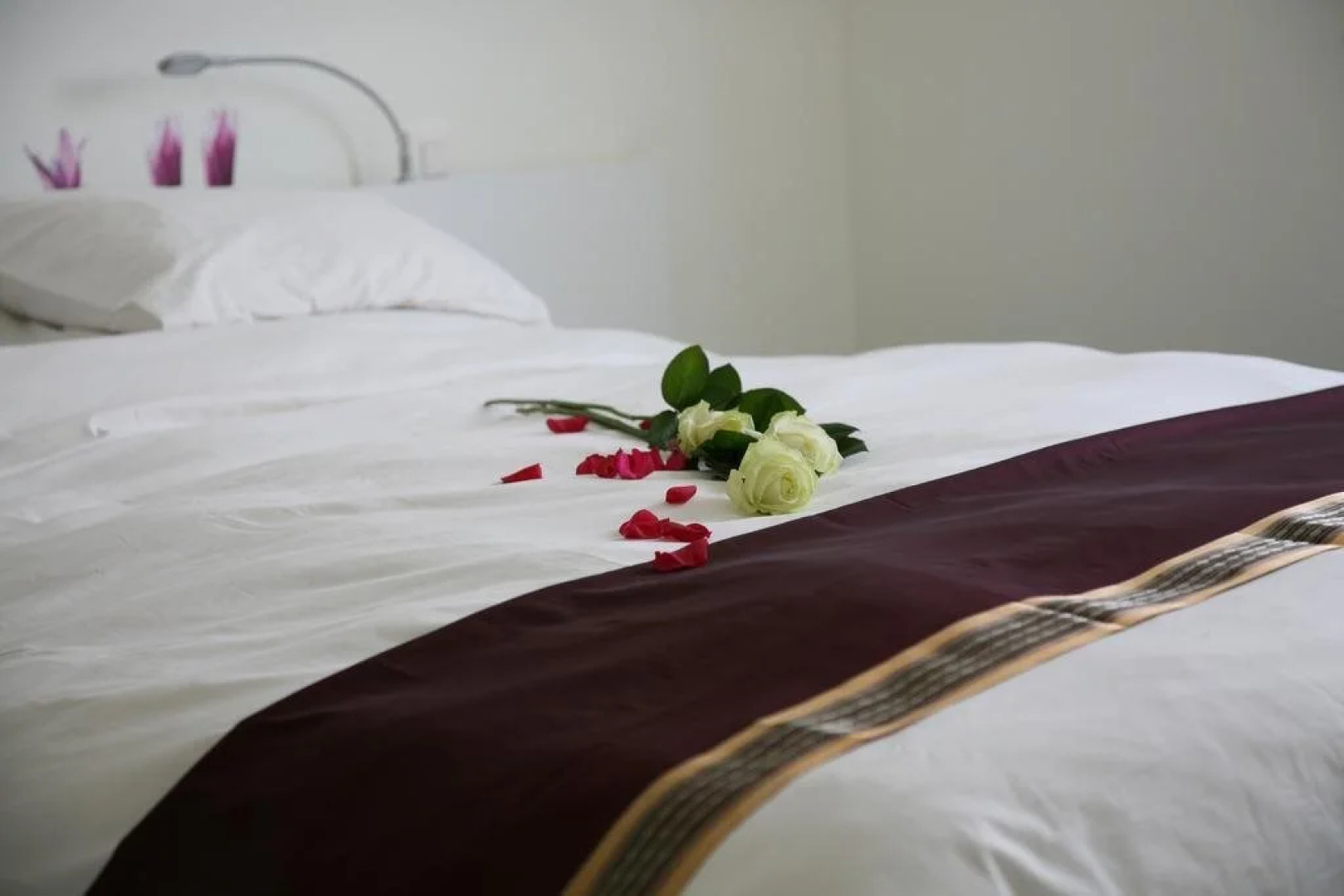 B&B Kanegem Onverbloemd