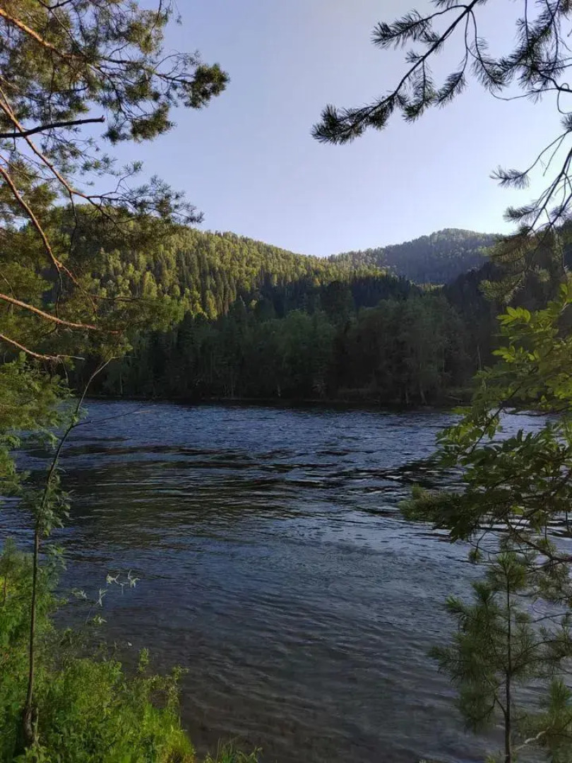 Объятия Бии