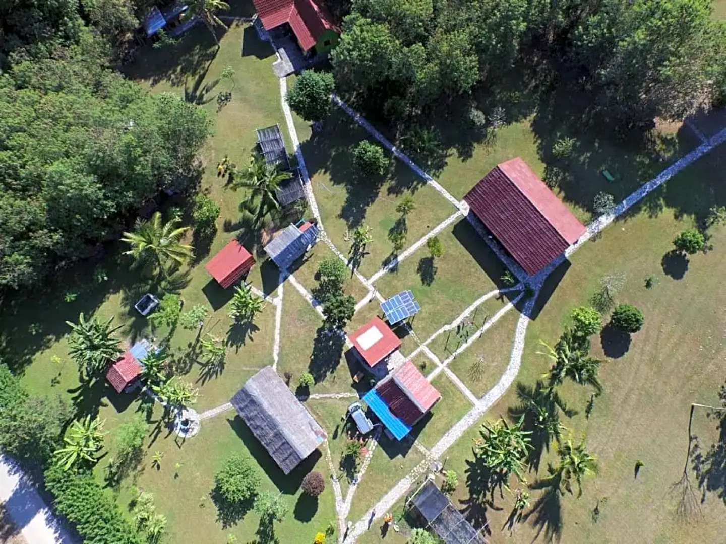 4 Pohon - Les 4 Arbres