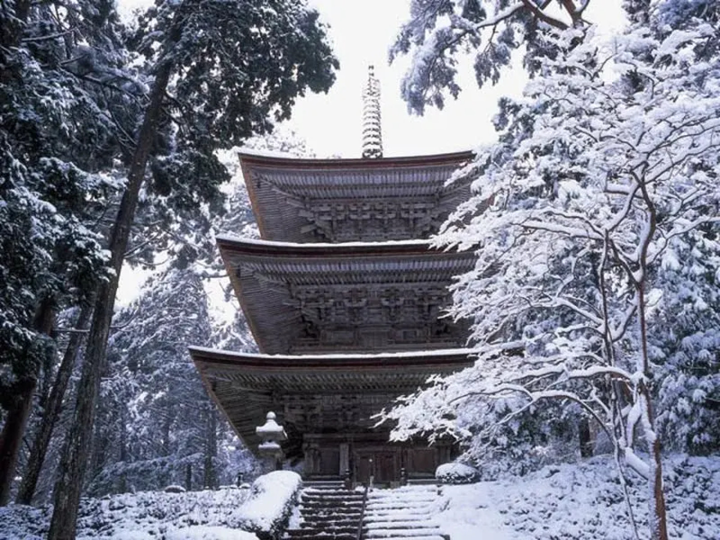 Guest House Lounge Taki