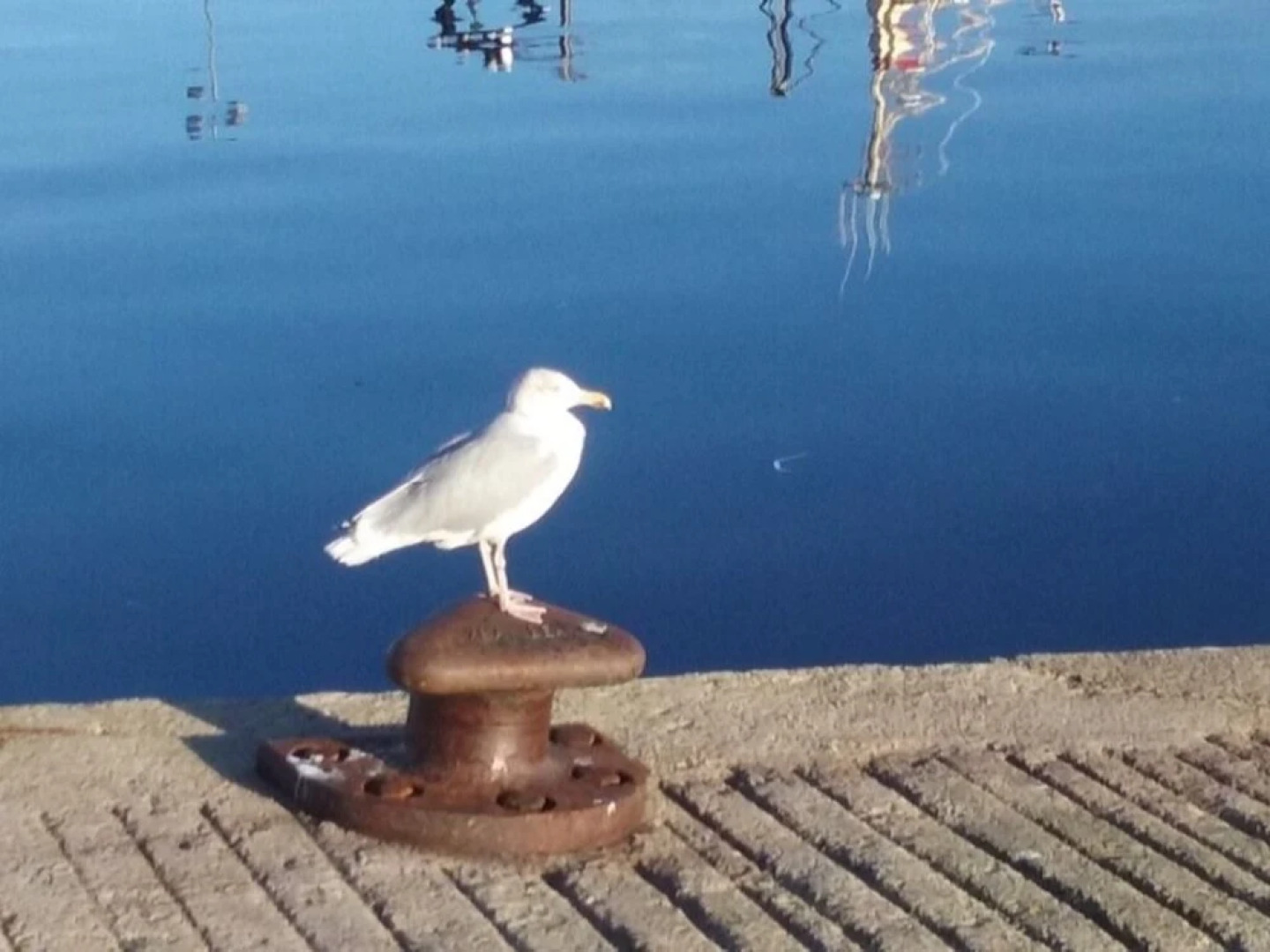 Seawinds Bed & Breakfast