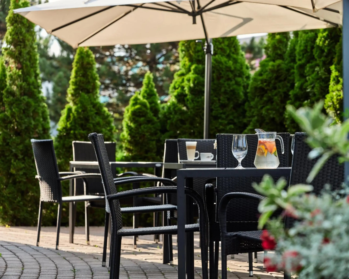 Centrum Hotelowo-Konferencyjne Witek