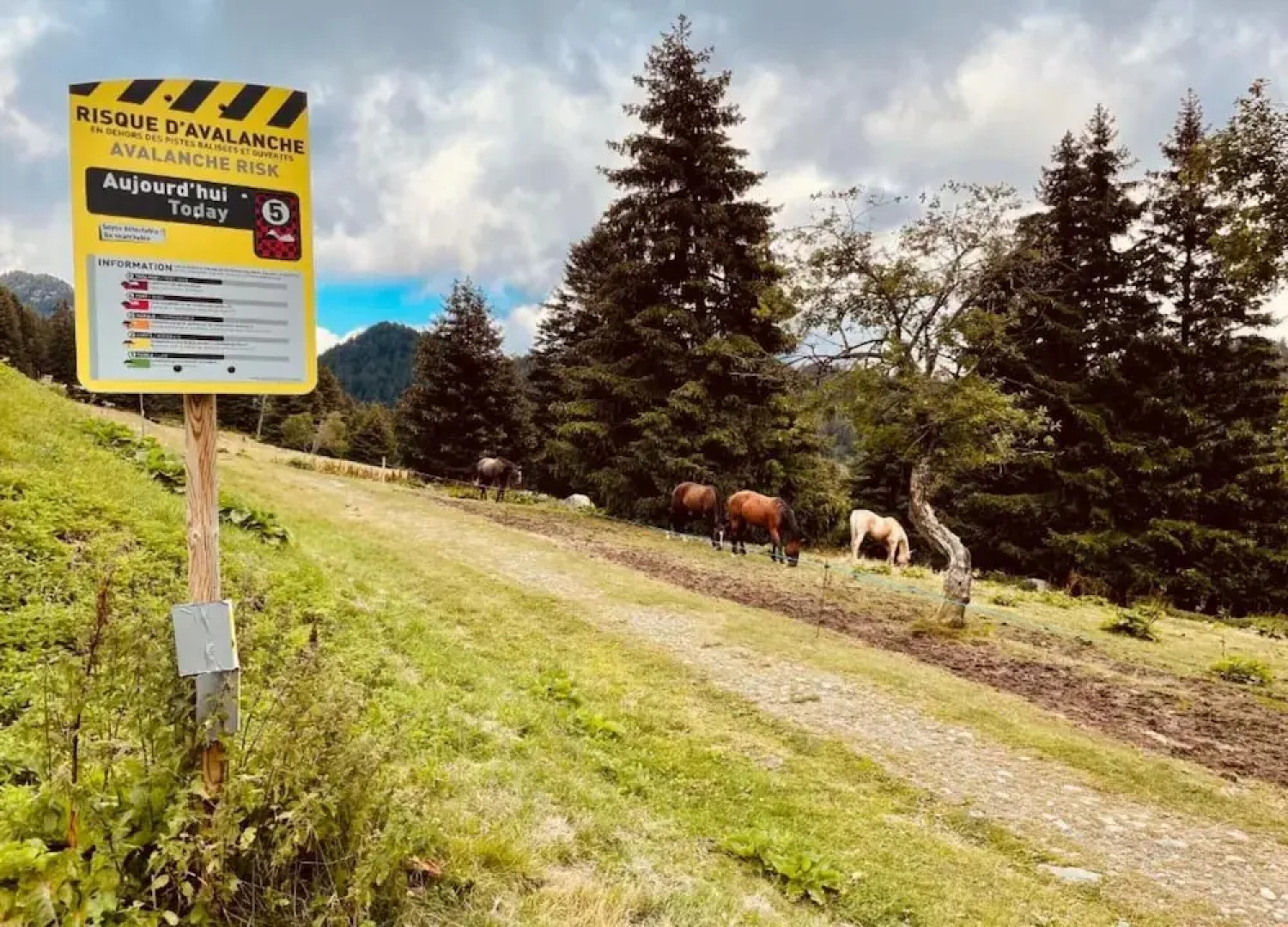 Stylish Alpine Stay for 6 Guests